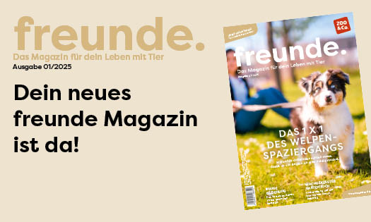 Titelbild der freunde Magazin Ausgabe 01/2025