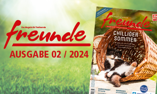 Titelbild der freunde Magazin Ausgabe 02/2024