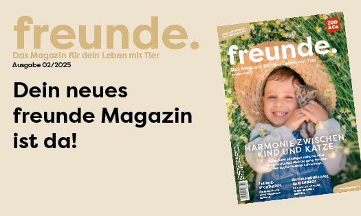 Titelbild der aktuellen freunde Magazin Ausgabe