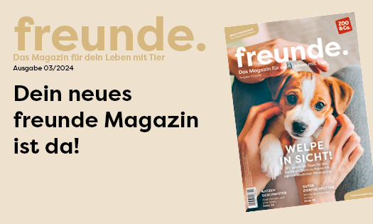 Titelbild der freunde Magazin Ausgabe 03/2024