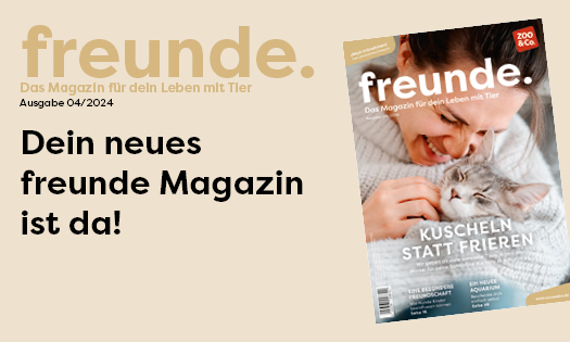 Titelbild freunde Magazin Ausgabe 04/2024